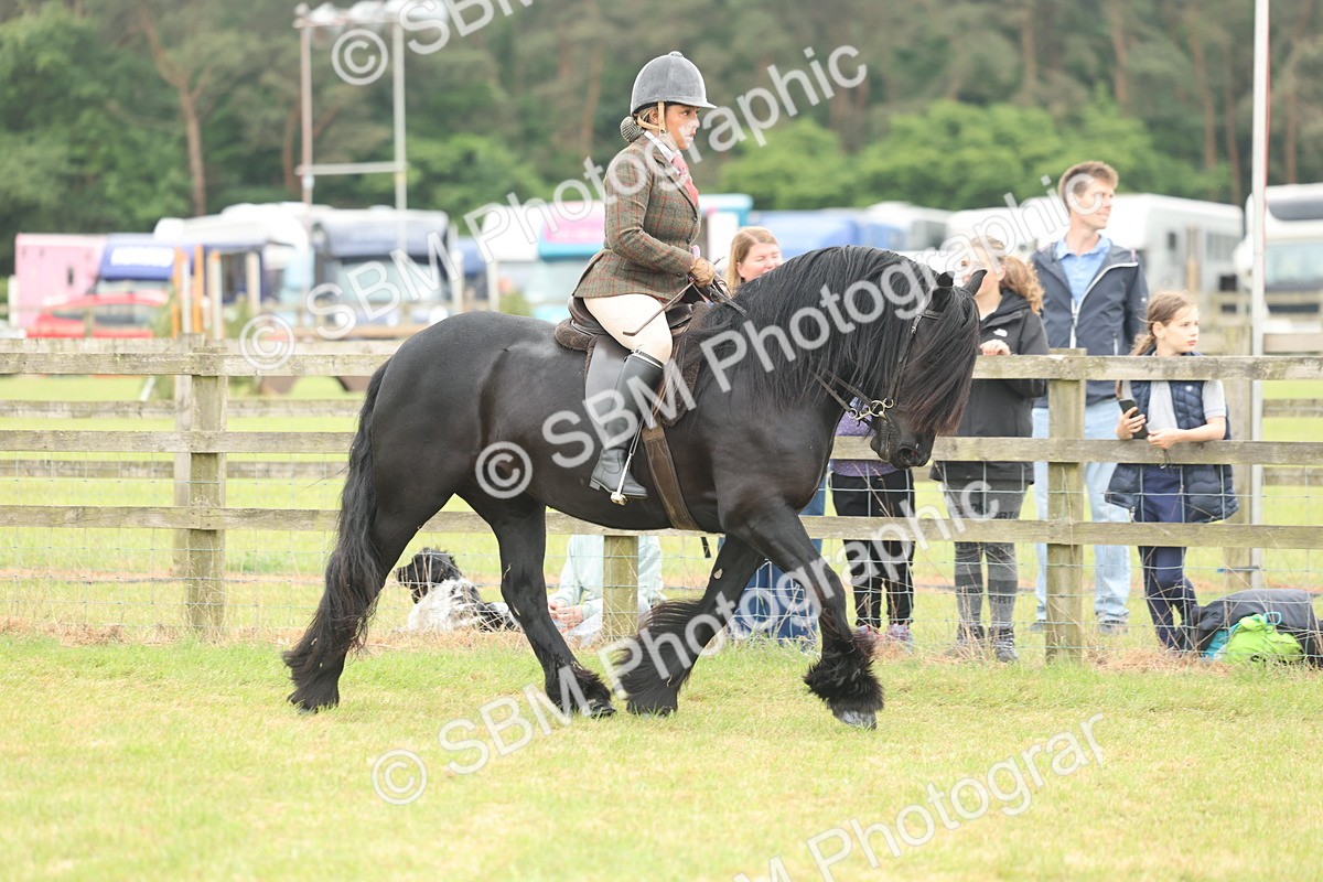 SBM_09067 - Class 78-80 - Ridden M&M Non Welsh Ponies