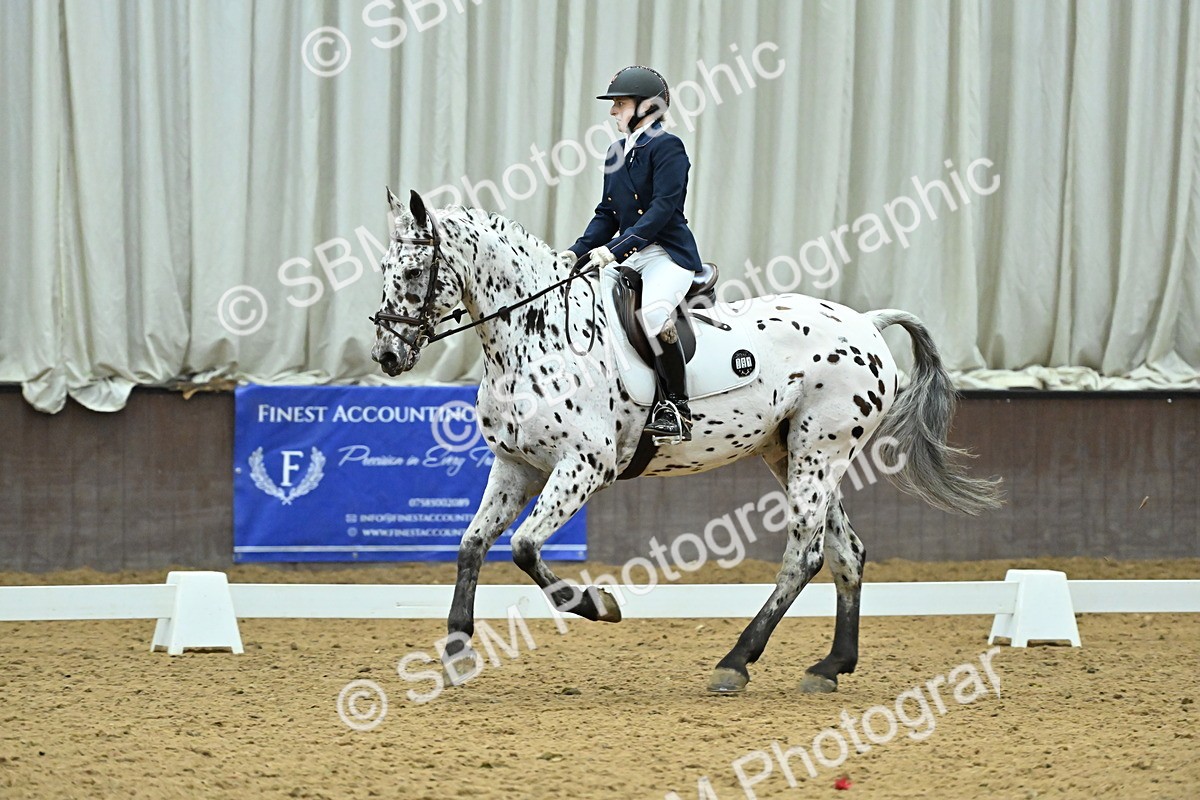 SBM_007516 - Class 81 - Novice 3