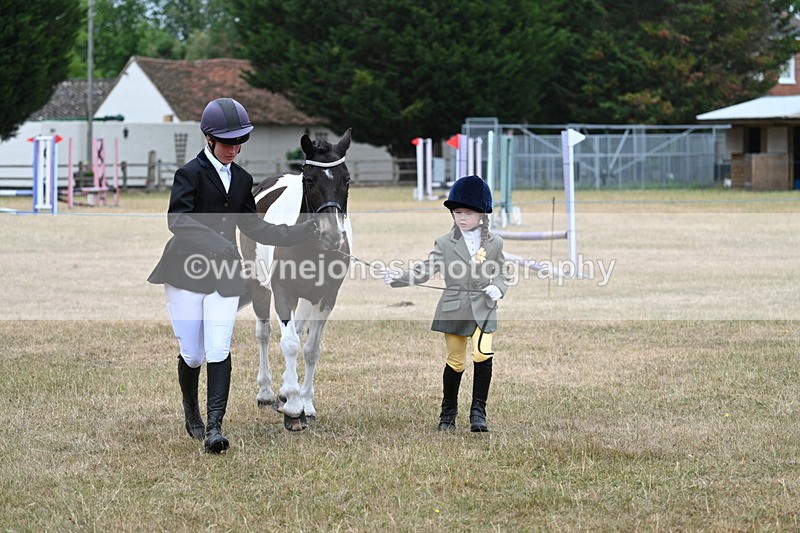 WJ7_9570 - Class 5 Most Handsome Gelding (up to 14.2hh)