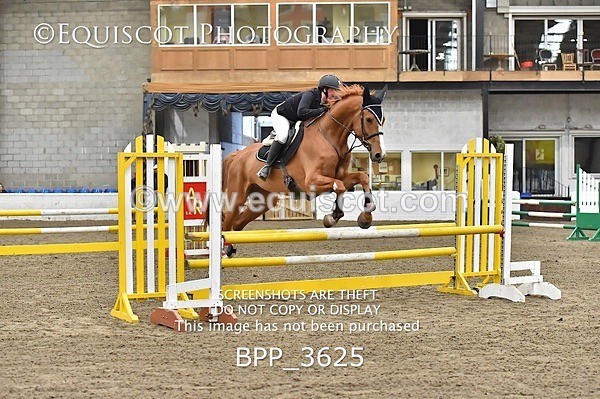 BPP_3625 - FRI CLASS 21 BR NOVICE/90CM