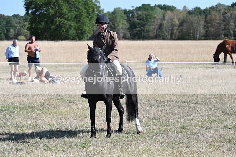 WJ7_3817 - Class 9 Mountain & Moorland Ridden