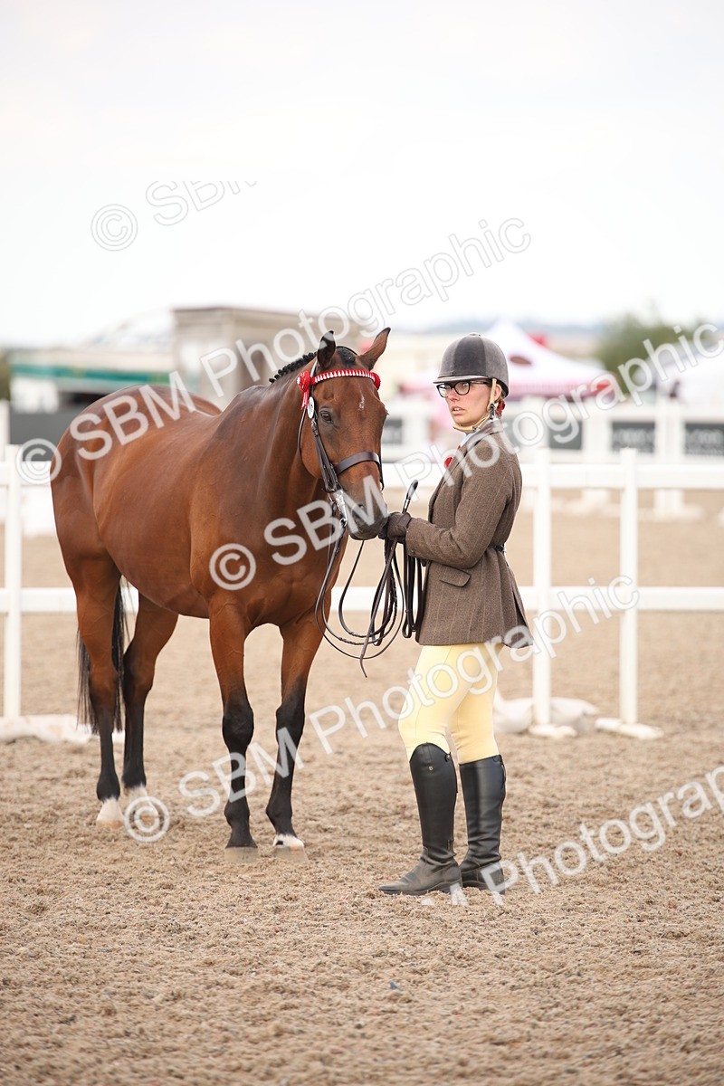 SBM_08255 - Class 27 - IH Competition Horse-Pony