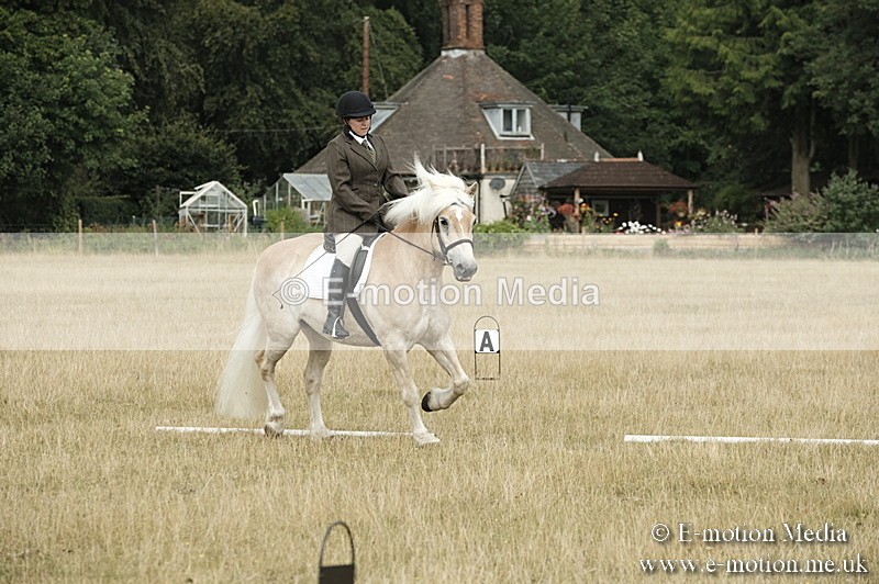 _PJP5743 - Dressage Classes BVRC Show 2018