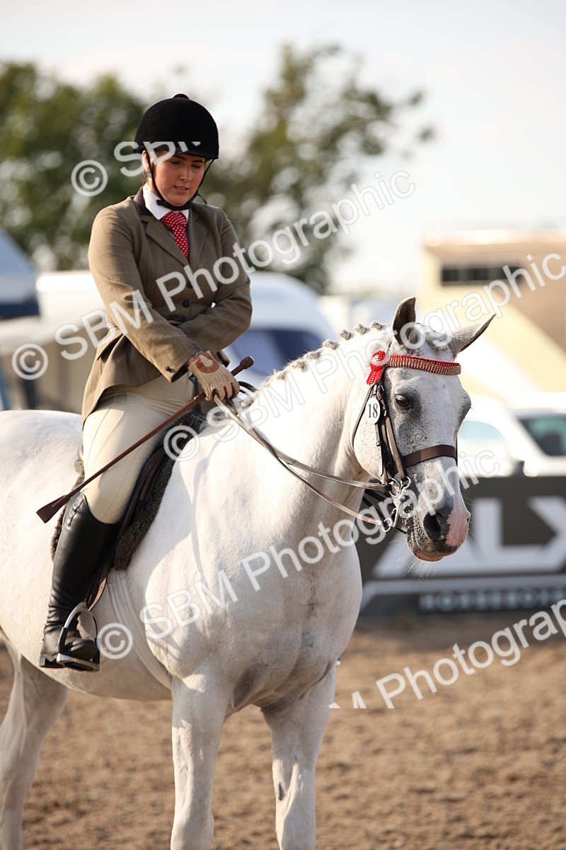 SBM_08863 - Class 12R Regional Ridden Pre-Vet