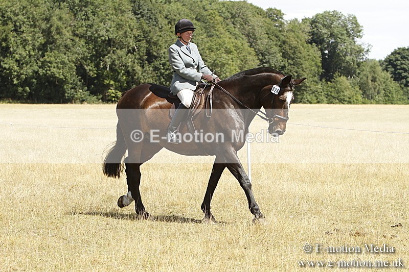 _BS_0714 - BVRC Show 2018 Ring 1