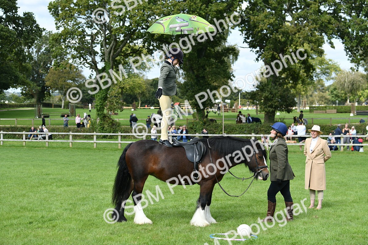 SBM_46934 - S12 - Family Horse & Pony