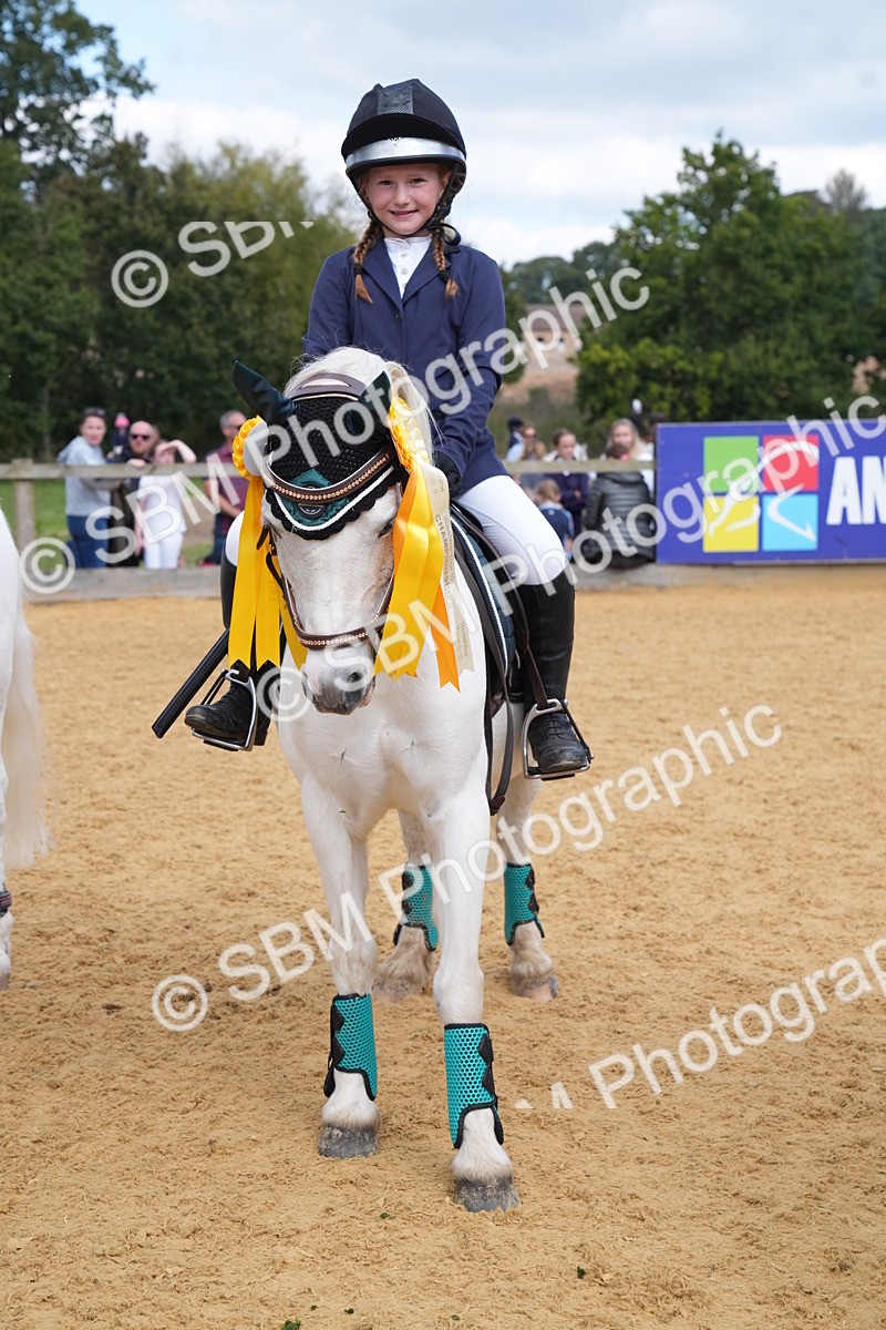 SBM_64533 - J2 - Mini Tour Junior Pony 30cm Championship