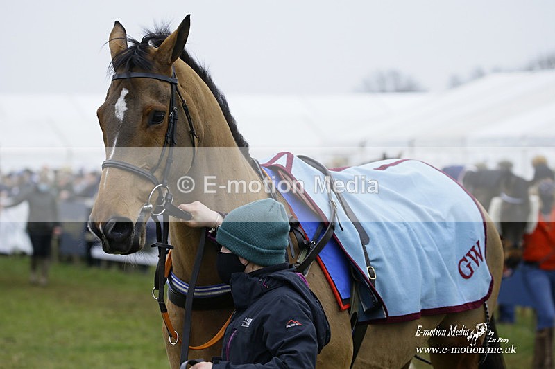 PtP 230122 391 - Cocklebarrow Races - Heythrop Hunt - 23/01/22