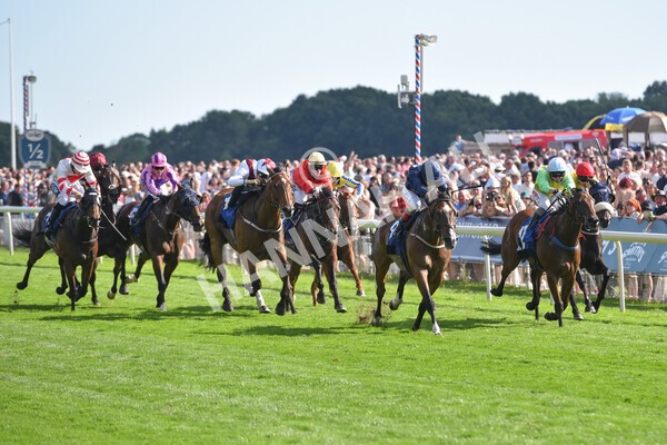 yr09072022r7-24 - Race 7 5.15pm John Smith's Sprint Stakes