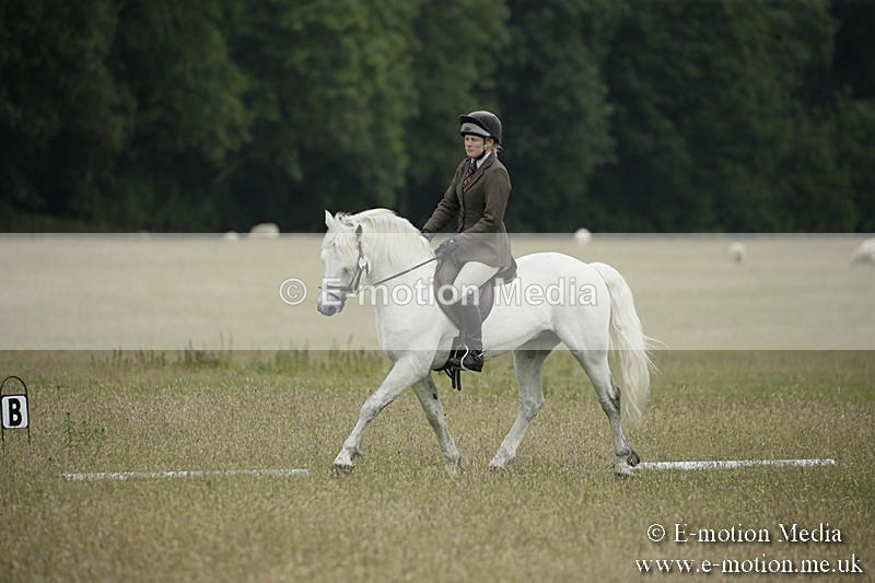B230619-0351 - Bourne Valley Riding Club Summer Show 23/06/19