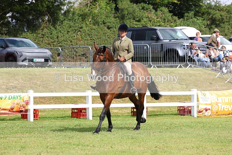 3E7A9397 - Class 4: Rising Star M/H Hunter