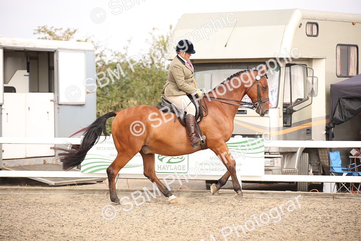 SBM_12932 - Class 406a - Working Veteran 50cm (15-19)