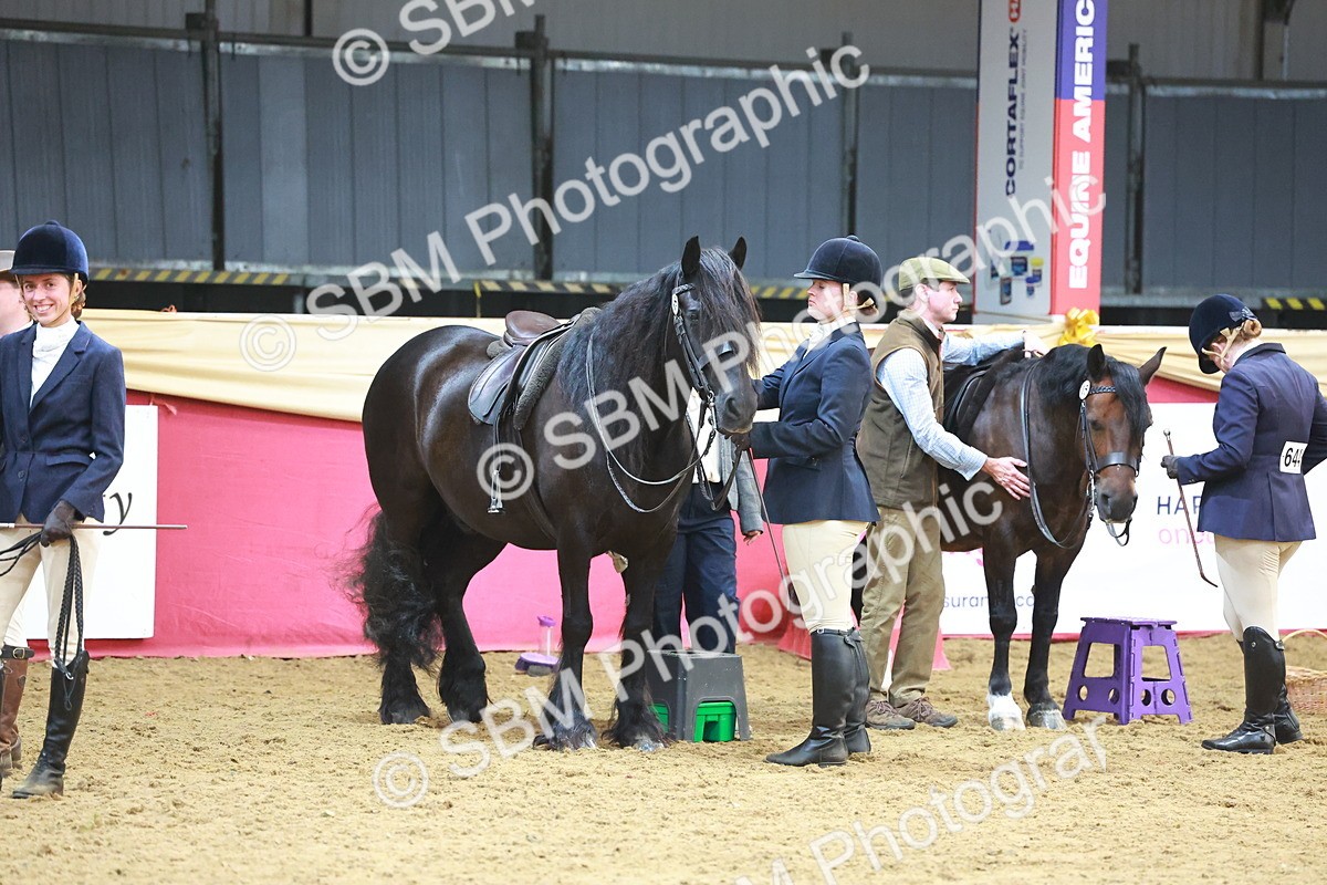 SBM_17851