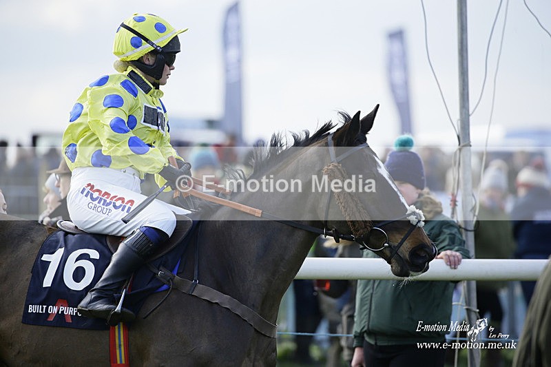 PtP 060322 474 - Blackmore & Sparkford Vale Hunt PtP 06/03/22