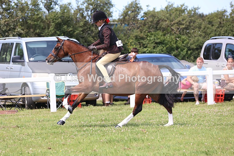 JPP_2652 - Class 21: Working Hunter 60cm