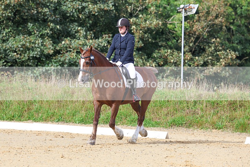 3E7A2212 - Class 1: Intro 4 2024 section A