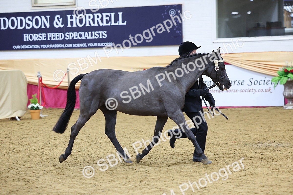 SBM_20924 - Class 902 - Supreme Final IH Veteran