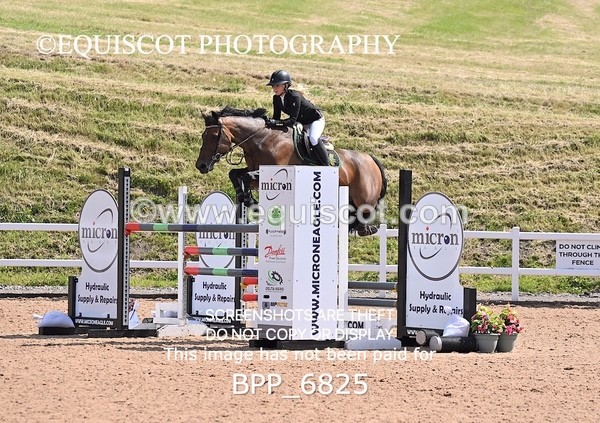 BPP_6825 - CLASS 13 FRI HOYS Talent Seeker Qualifier Inc 7 Year Old Horse Championship Qualifier