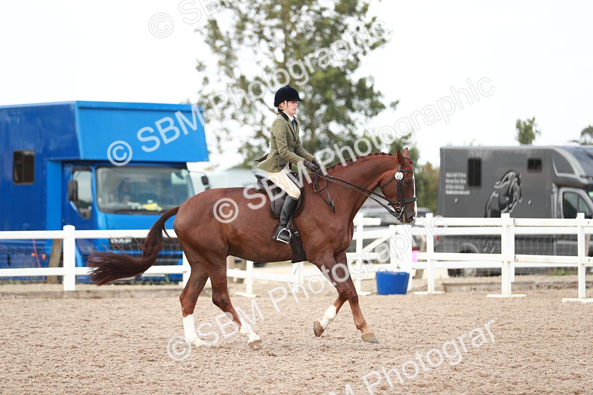 SBM_15495 - Class 213 Ridden Hunter -Large