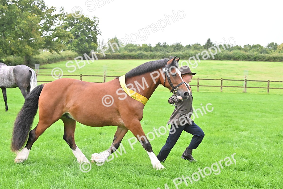 SBM_32669 - S15 - Top Turnout In Hand
