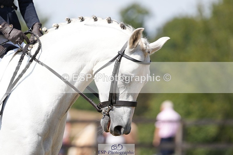 250823A-132555-31170 - Arena A