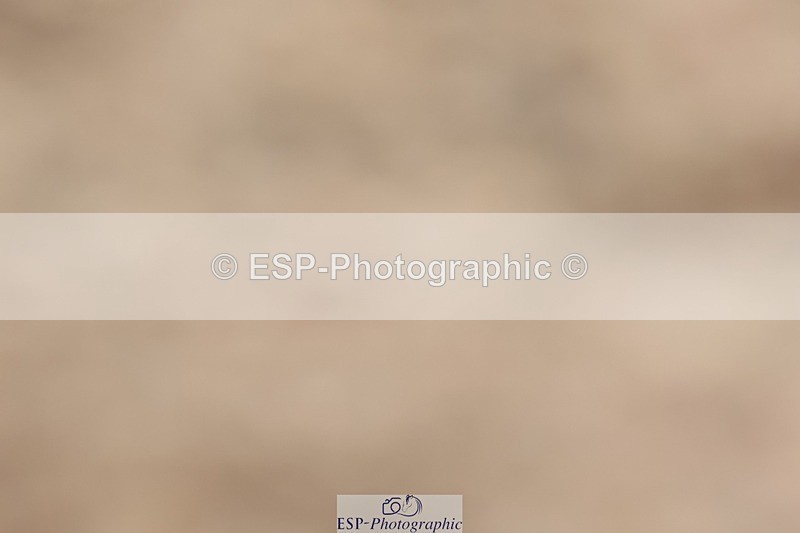 250622-133158-17068 - Cls 51 Elementary 6