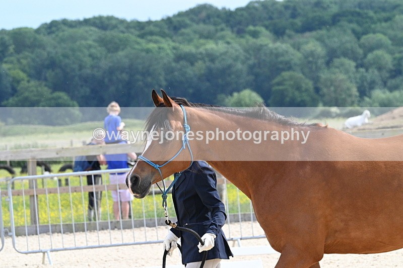 WJ7_8218 - Time 16:10 to 16:25