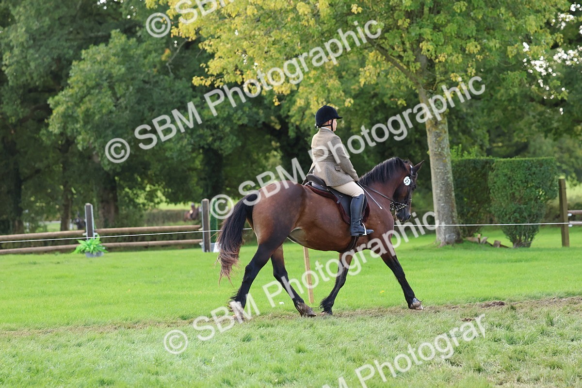 SBM_47618 - S28 - Veteran Ridden