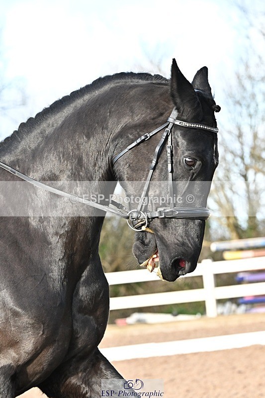 241214-133459-02489 - 156-Jo.Roberts-MajesticC