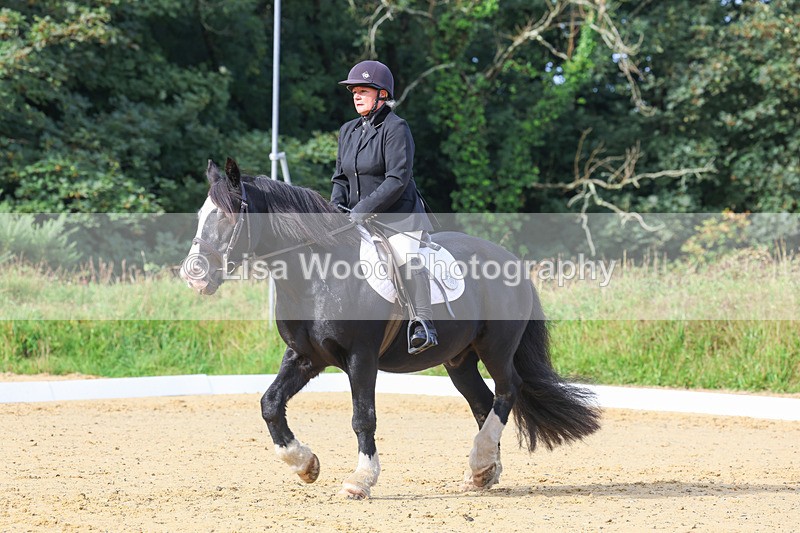 3E7A2293 - Class 1: Intro 4 2024 section A