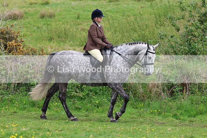 3E7A1661 - Class 9: Riding Club Horse/Pony