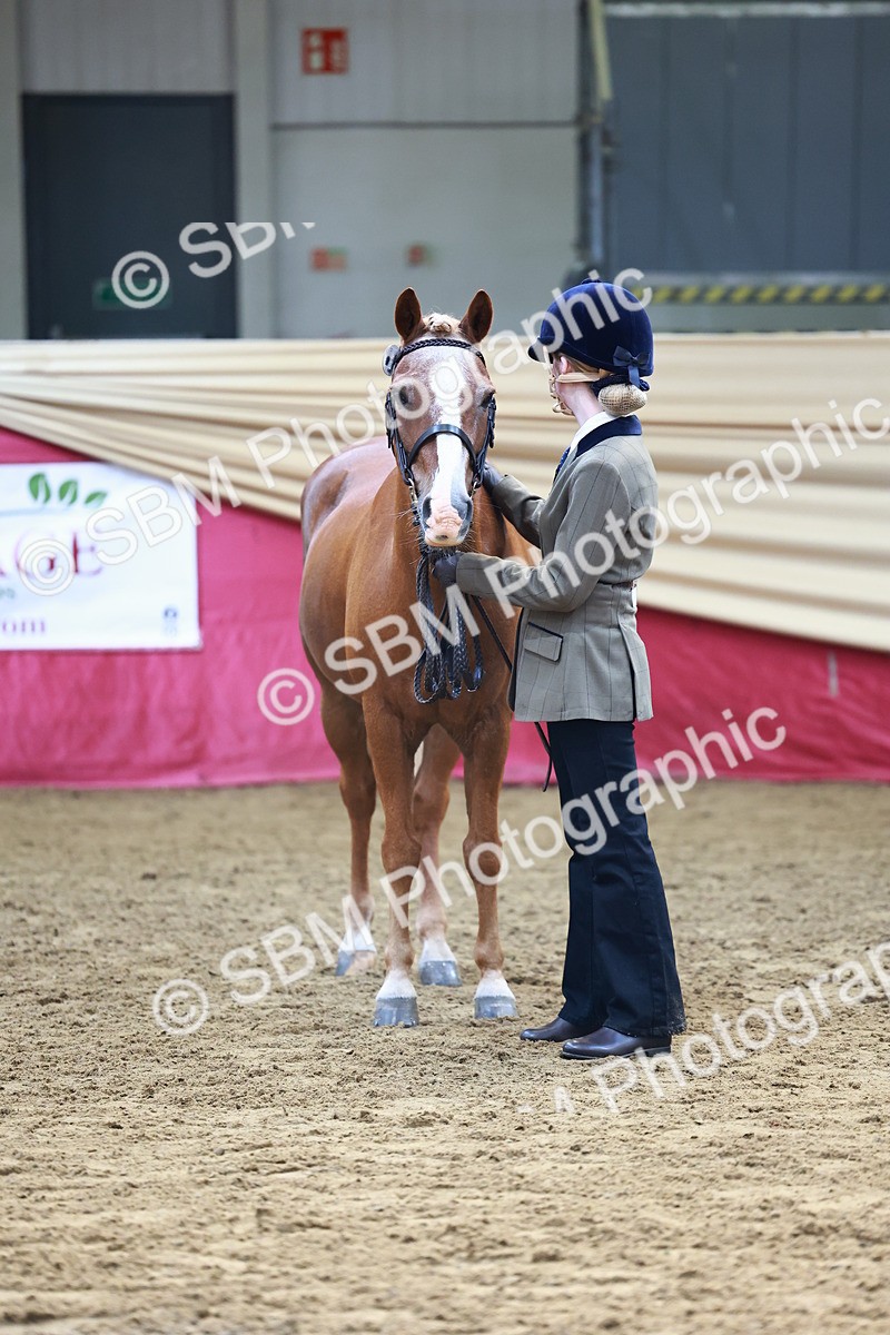 SBM_22301 - Class 902 - Supreme Final - IH Diamond