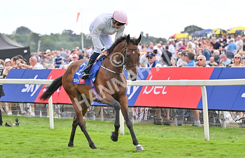 220826-194 Love Me Tender - Race 4 15.35pm Sky Bet Ebor Handicap