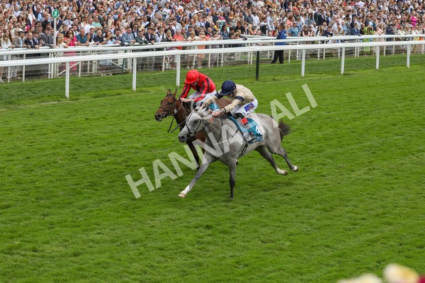 270724-Race 4-Greydreambeliever-4713 - Race 4 4.00pm Sky Bet Club EBF Fillies' Novice Stakes