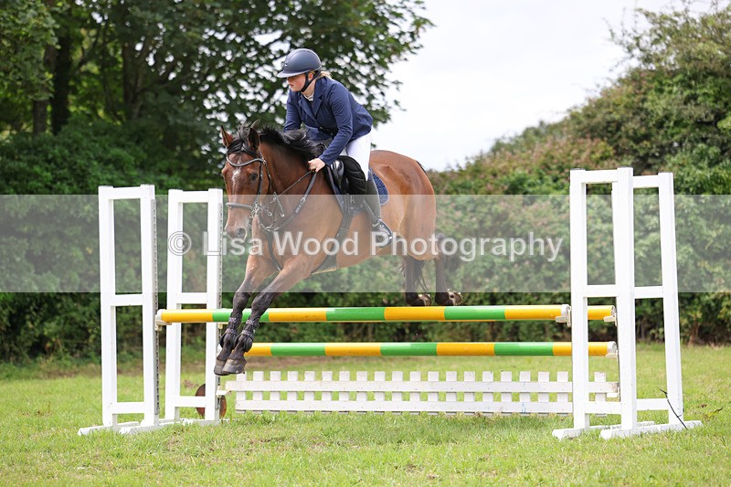 3E7A7377 - Class 5: Senior British Novice/90cm open