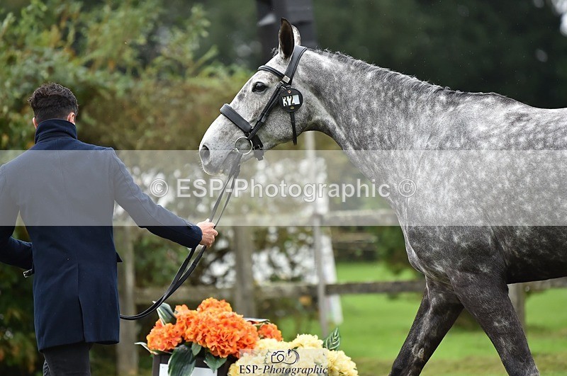 231018-122330-00258 - 032-COOLEY.ROCCO-Ben.Way-TrotUp