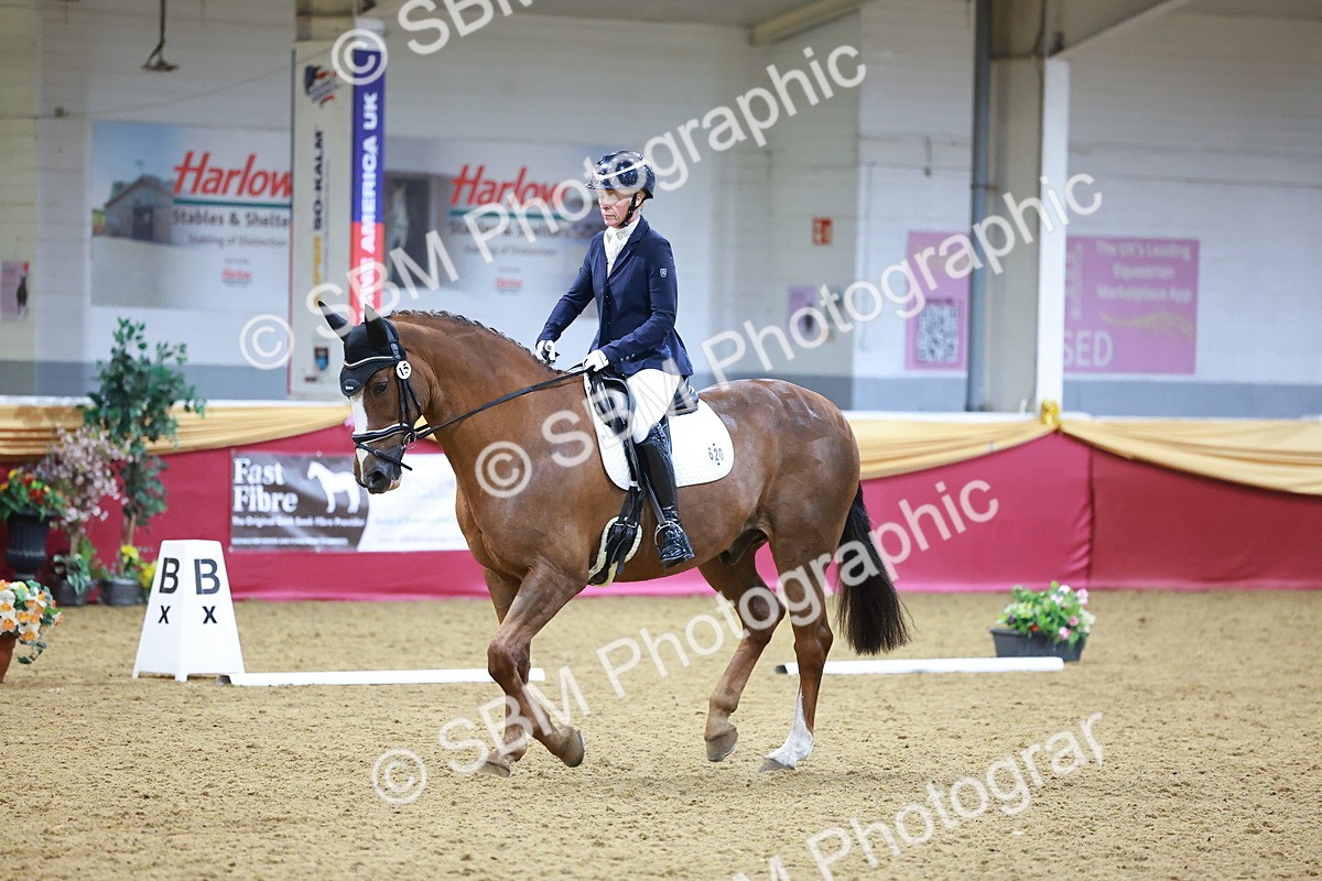 SBM_06700 - Class 61 - Dressage to Music