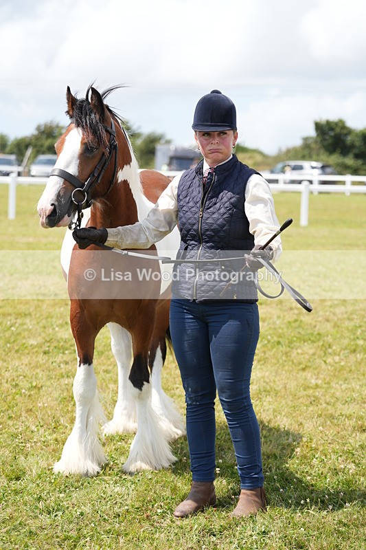 DSC06772 - Class 58: Coloured Pony Youngstock