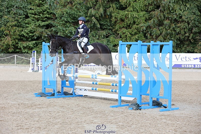 250803A-170547-17735 - S-869-Alice.Lamming-THE.DARK.HORSE.I