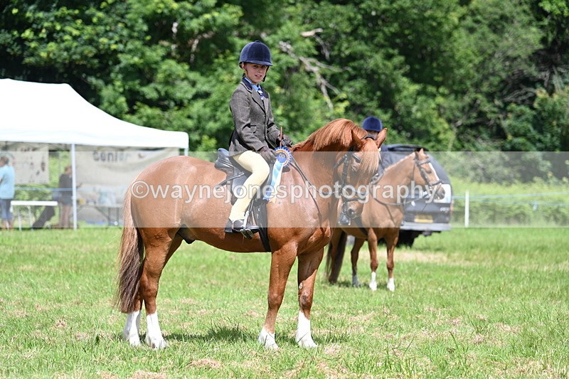 WJ7_1795 - Class 9 Pony Club Pony