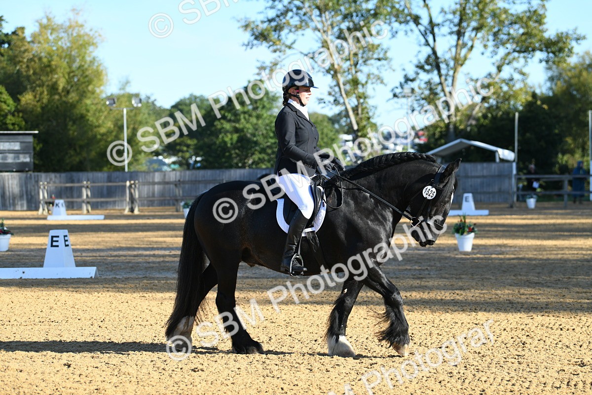 SBM_14520 - D4 - Small Tour Championship - Intro B