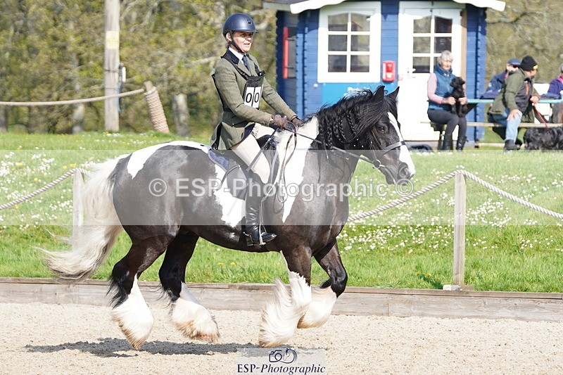 250420A-101306-00273 - Cls 02 70cm