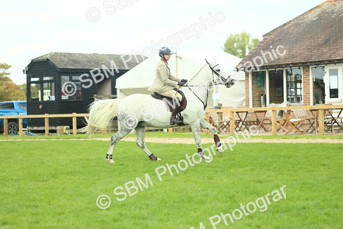 SBM_47979 - S32 - Novice & Newcomers Working Hunter