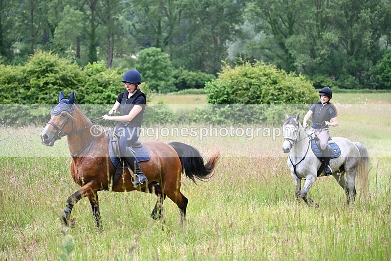 WJ6_7942 - Camera 1 Gallops