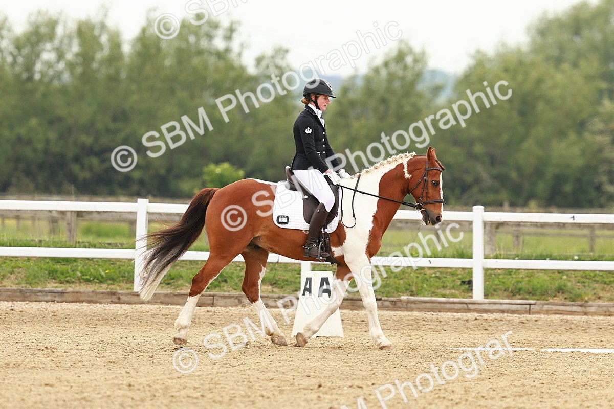 SBM_001212 - Class 6 - Novice 4