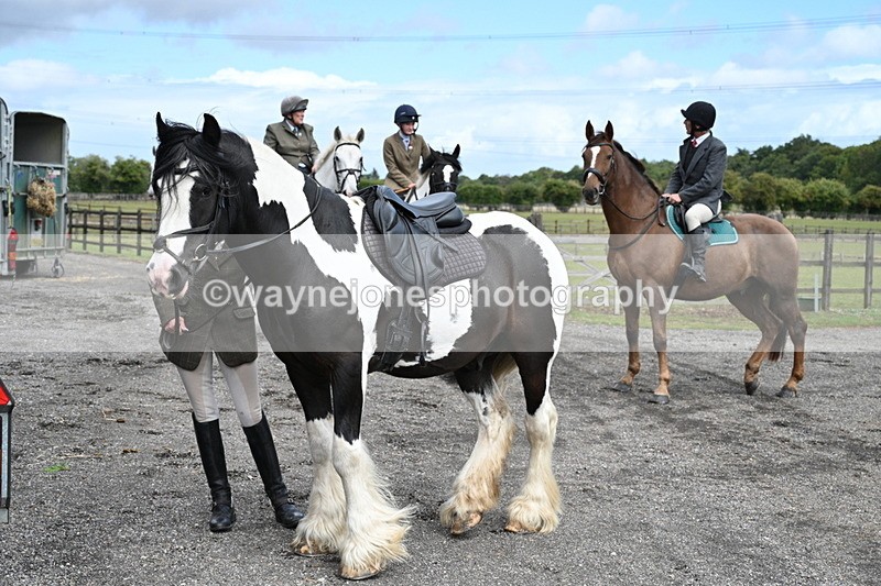 WJ7_6751 - Berks & Bucks at Blandy’s Farm 31-08-25