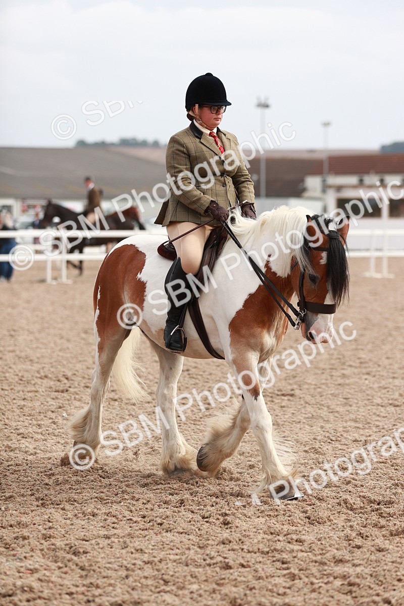 SBM_16800 - Class 214 Ridden Cob