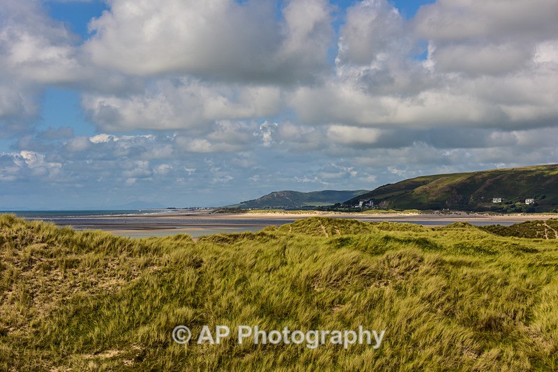ACP_2342-1 - Ynyslas
