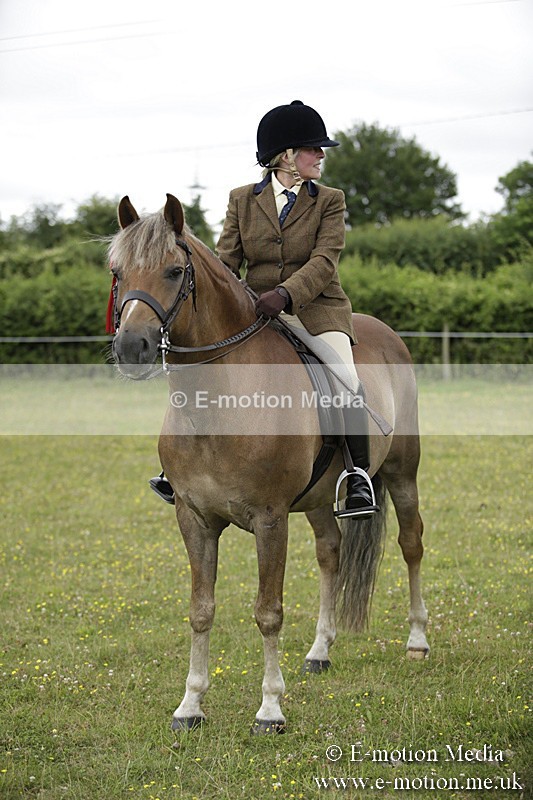 BVR160717-1344 - Ring 1 BVRC Show 16/07/17