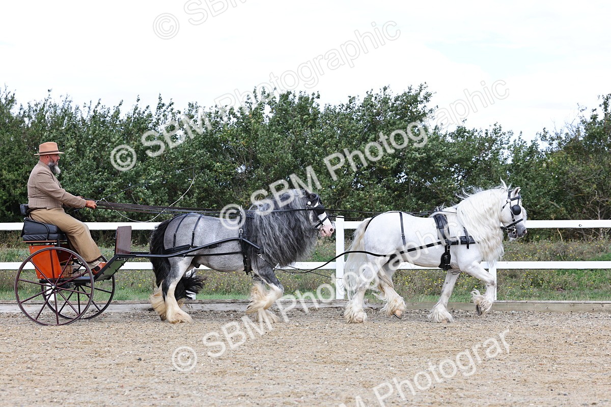SBM_001172 - Class 16 - Pairs ,Multiples and Tandems